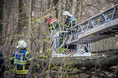 Korb: Baeume stuertzen um und begraben mehrere Pkws unter sich